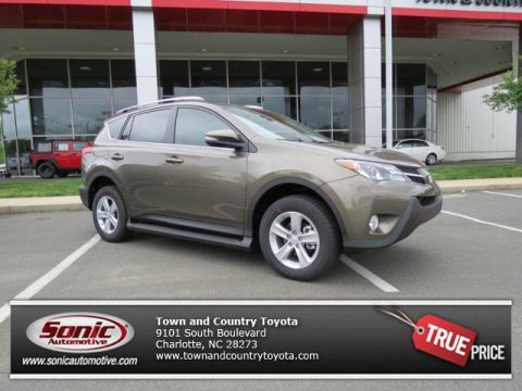 Pyrite Mica Toyota RAV4 XLE.  Click to enlarge.