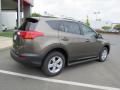 2013 RAV4 XLE #17