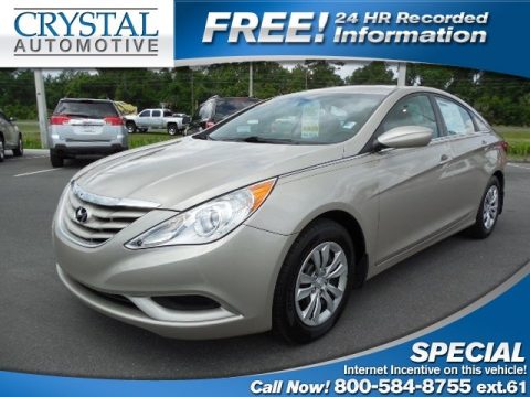 Camel Pearl Hyundai Sonata GLS.  Click to enlarge.