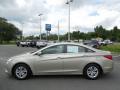 2011 Sonata GLS #2