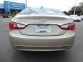 2011 Sonata GLS #7