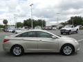 2011 Sonata GLS #9