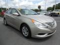 2011 Sonata GLS #10