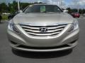 2011 Sonata GLS #13