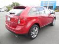 2011 Edge Limited #9
