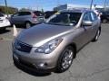 2008 EX 35 Journey AWD #7 2008 EX 35 Journey AWD #7