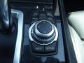 Controls of 2010 BMW 7 Series 750Li xDrive Sedan #29