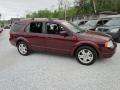 2005 Ford Freestyle Merlot Metallic #2 2005 Ford Freestyle Merlot Metallic #2
