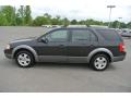  2007 Ford Freestyle Alloy Metallic #3