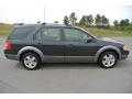  2007 Ford Freestyle Alloy Metallic #6
