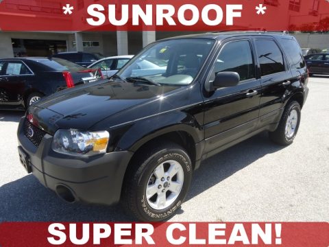 Black Ford Escape XLT V6 4WD.  Click to enlarge.