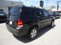 2007 Escape XLT V6 4WD #6