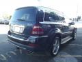 2008 GL 550 4Matic #3