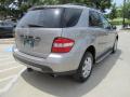 2007 ML 350 4Matic #10