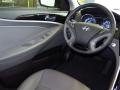 2011 Sonata Limited #12