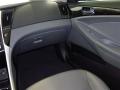 2011 Sonata Limited #14