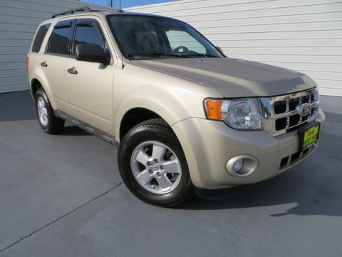 Gold Leaf Metallic Ford Escape XLT.  Click to enlarge.