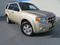 2012 Escape XLT #1 2012 Escape XLT #1