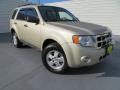 2012 Escape XLT #2 2012 Escape XLT #2