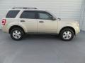 2012 Escape XLT #3 2012 Escape XLT #3