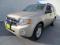 2012 Escape XLT #7 2012 Escape XLT #7