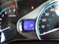 2013 Sienna XLE #19