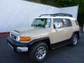 Front 3/4 View of 2011 Toyota FJ Cruiser 4WD #3