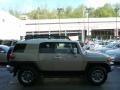 2011 FJ Cruiser 4WD #10