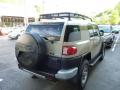 2011 FJ Cruiser 4WD #11