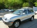2005 Santa Fe GLS 4WD #3