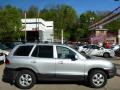2005 Santa Fe GLS 4WD #10