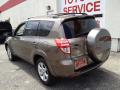 2010 RAV4 Limited 4WD #4
