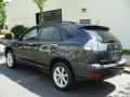2009 RX 350 AWD #6 2009 RX 350 AWD #6