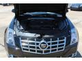 2013 CTS Coupe #9