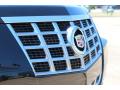 2013 CTS Coupe #10