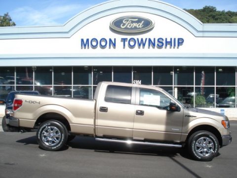 Ford F150 XLT SuperCrew 4x4 Ford F150 XLT SuperCrew 4x4