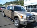2013 F150 XLT SuperCrew 4x4 #2