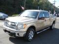 2013 F150 XLT SuperCrew 4x4 #4