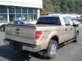 2013 F150 XLT SuperCrew 4x4 #8