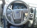 2013 F150 XLT SuperCrew 4x4 #16
