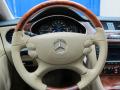2006 CLS 500 #31