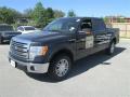 2013 F150 Lariat SuperCrew #3