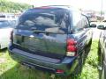2008 TrailBlazer LS 4x4 #5