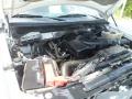  2010 F150 5.4 Liter Flex-Fuel SOHC 24-Valve VVT Triton V8 Engine #34