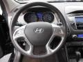 2010 Tucson Limited #23