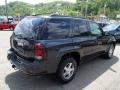 2004 TrailBlazer LS 4x4 #8