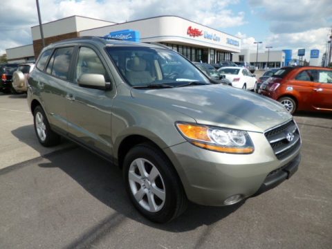 Natural Khaki Hyundai Santa Fe Limited 4WD.  Click to enlarge.