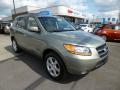 Click for details. 2009 Hyundai Santa Fe Limited 4WD