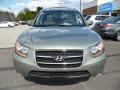 2009 Santa Fe Limited 4WD #2