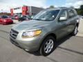 2009 Santa Fe Limited 4WD #3